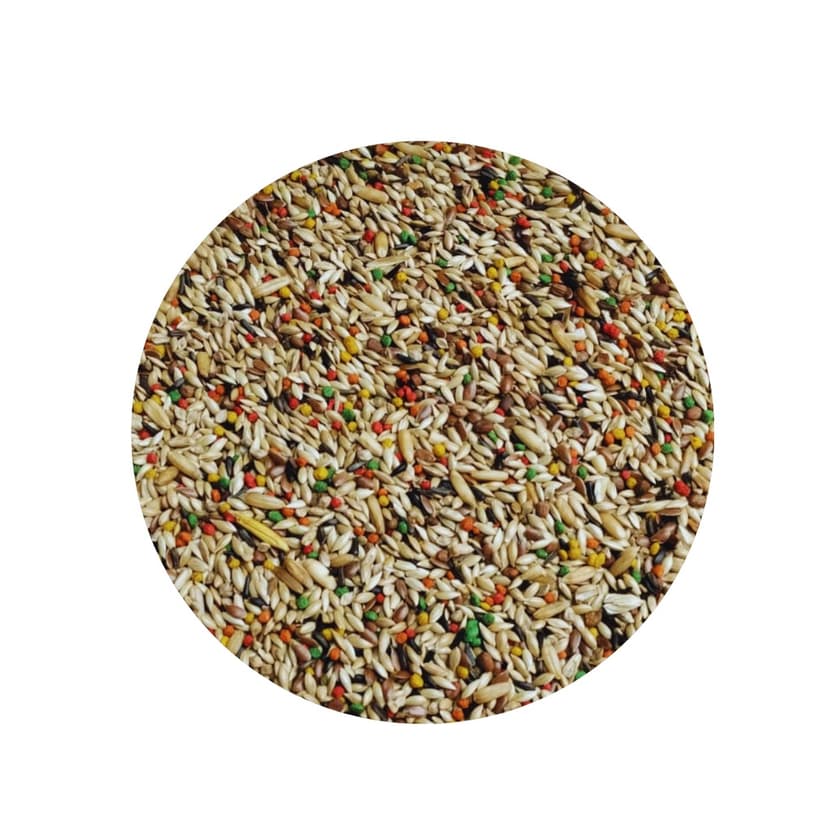 MISTURA RAÇÃO 5KG PÁSSARO PASSARINHO CANARIO MIX SEMENTES NATURAL NUTRITIVO SUPER PREMIUM PACOTE